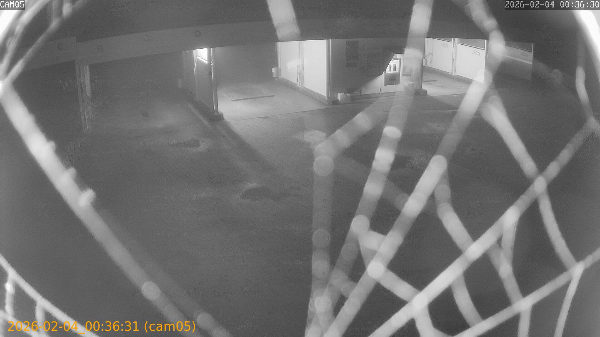 thumbnail_20260204003631