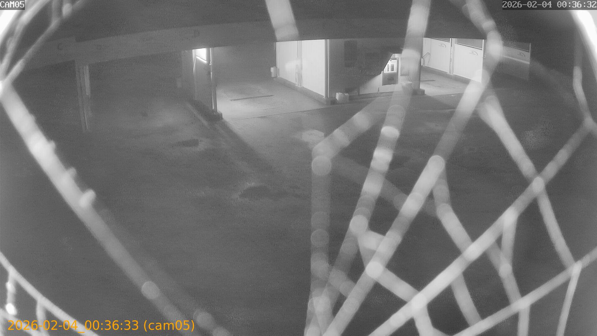 thumbnail_20260204003633