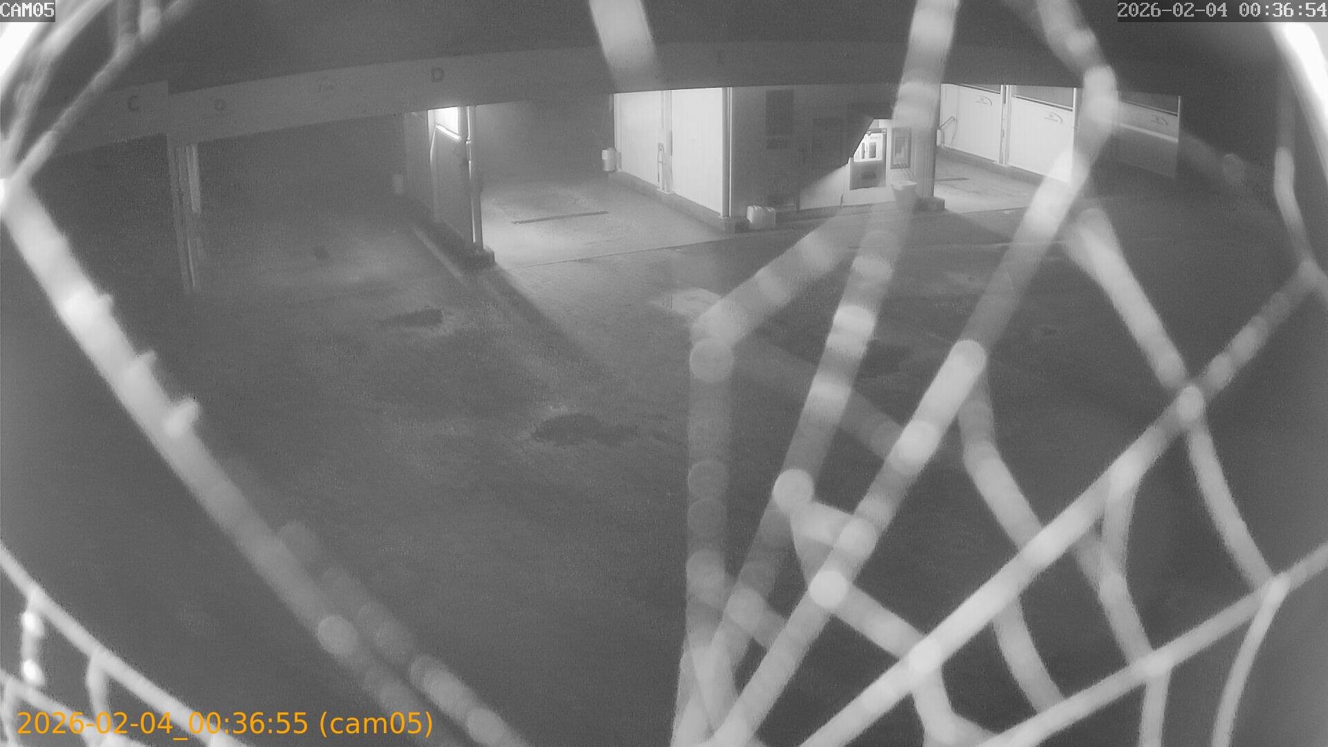 thumbnail_20260204003655