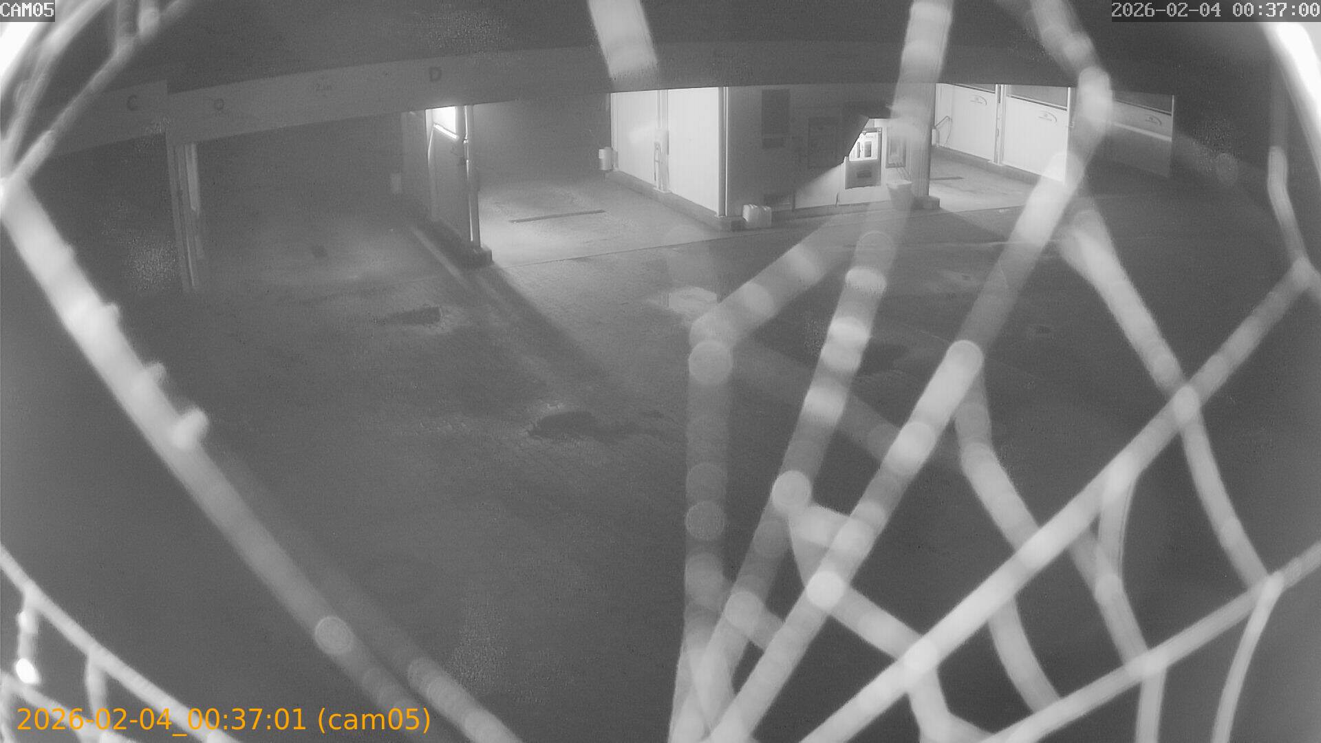 thumbnail_20260204003701