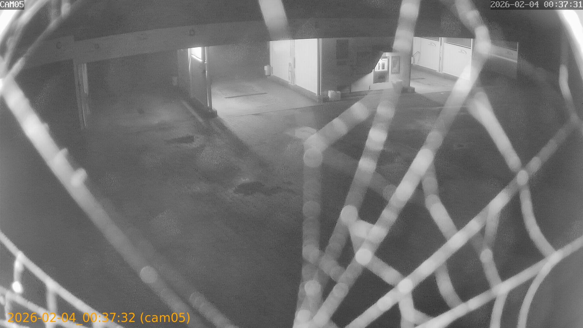 thumbnail_20260204003732