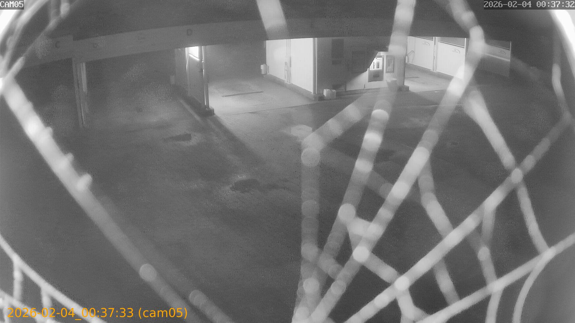 thumbnail_20260204003733