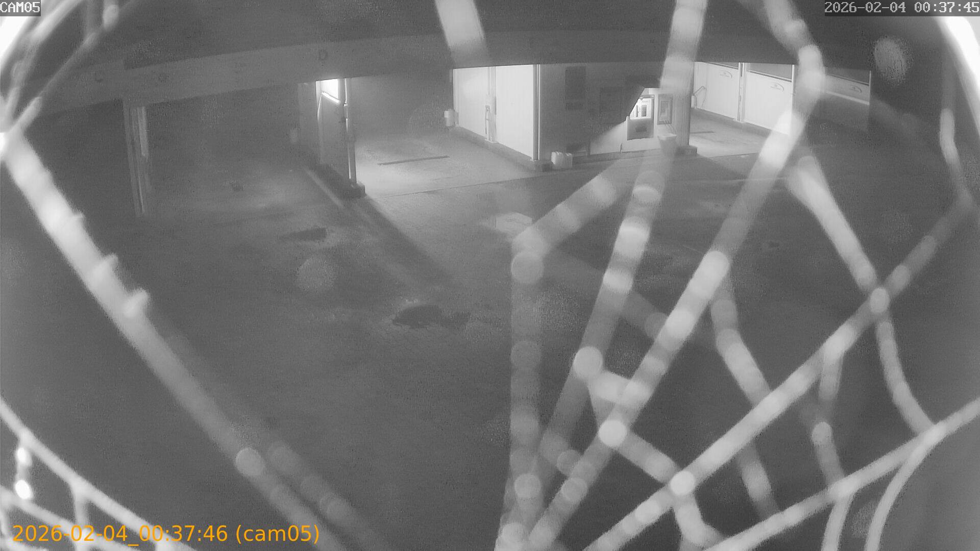 thumbnail_20260204003746