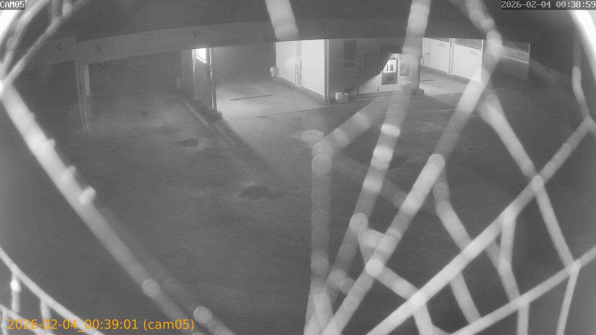 thumbnail_20260204003901