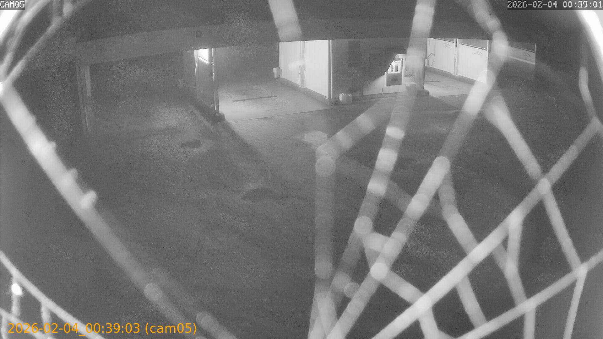 thumbnail_20260204003903