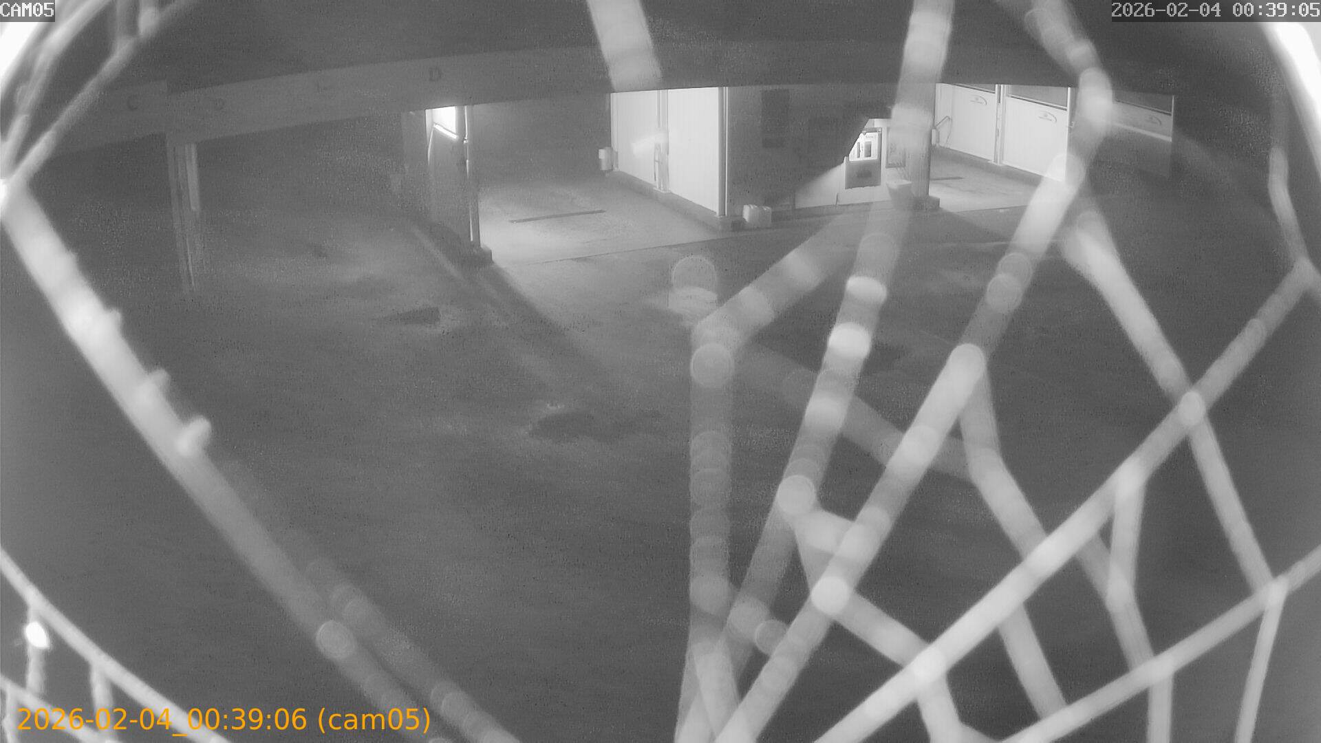 thumbnail_20260204003906