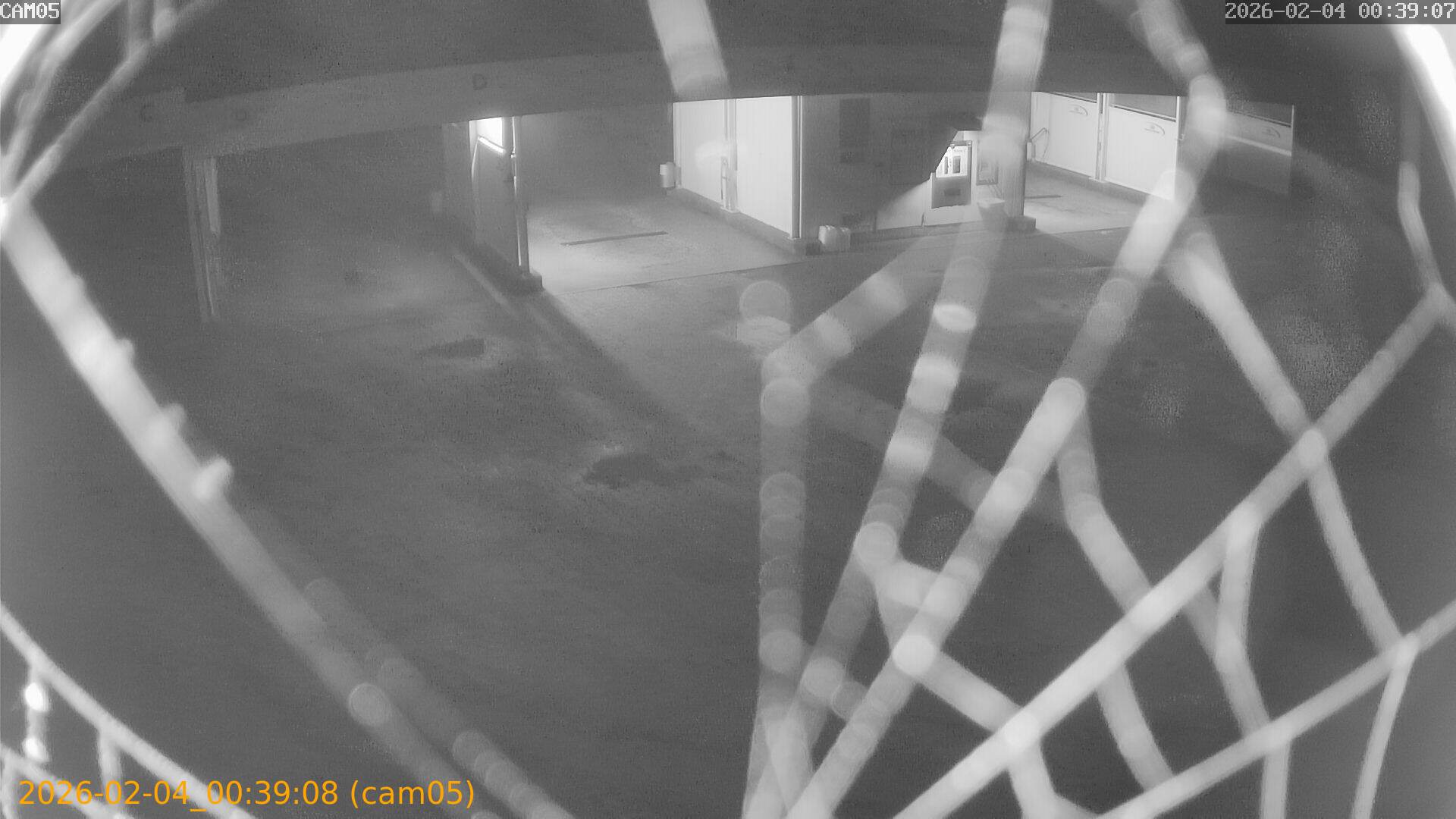 thumbnail_20260204003908