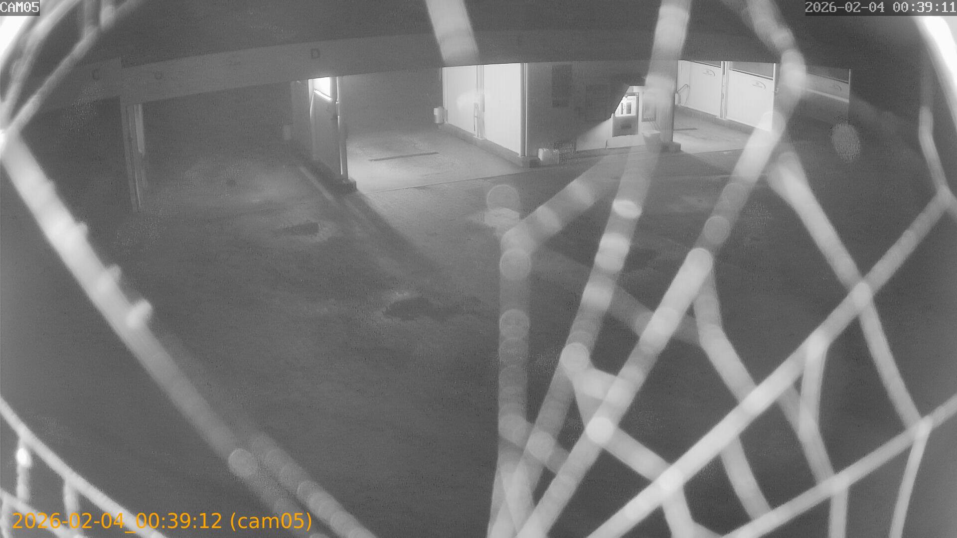 thumbnail_20260204003912