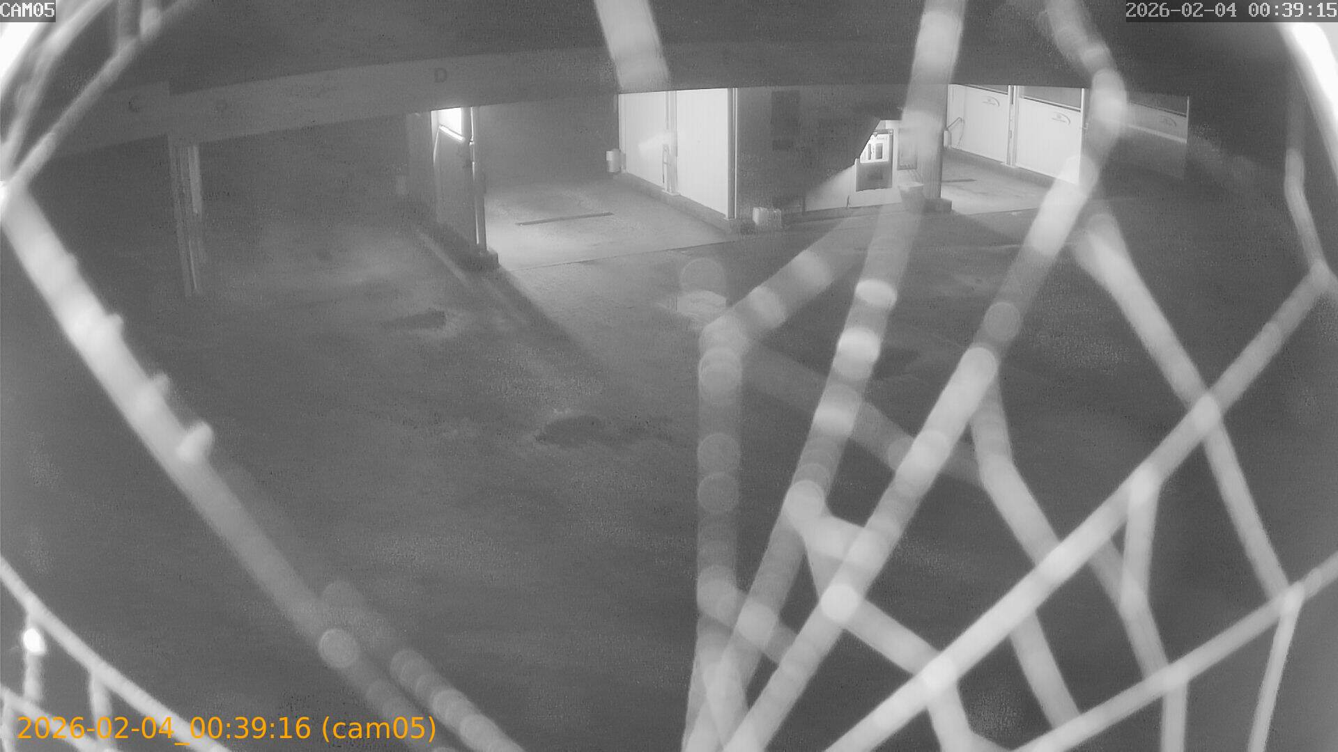 thumbnail_20260204003916