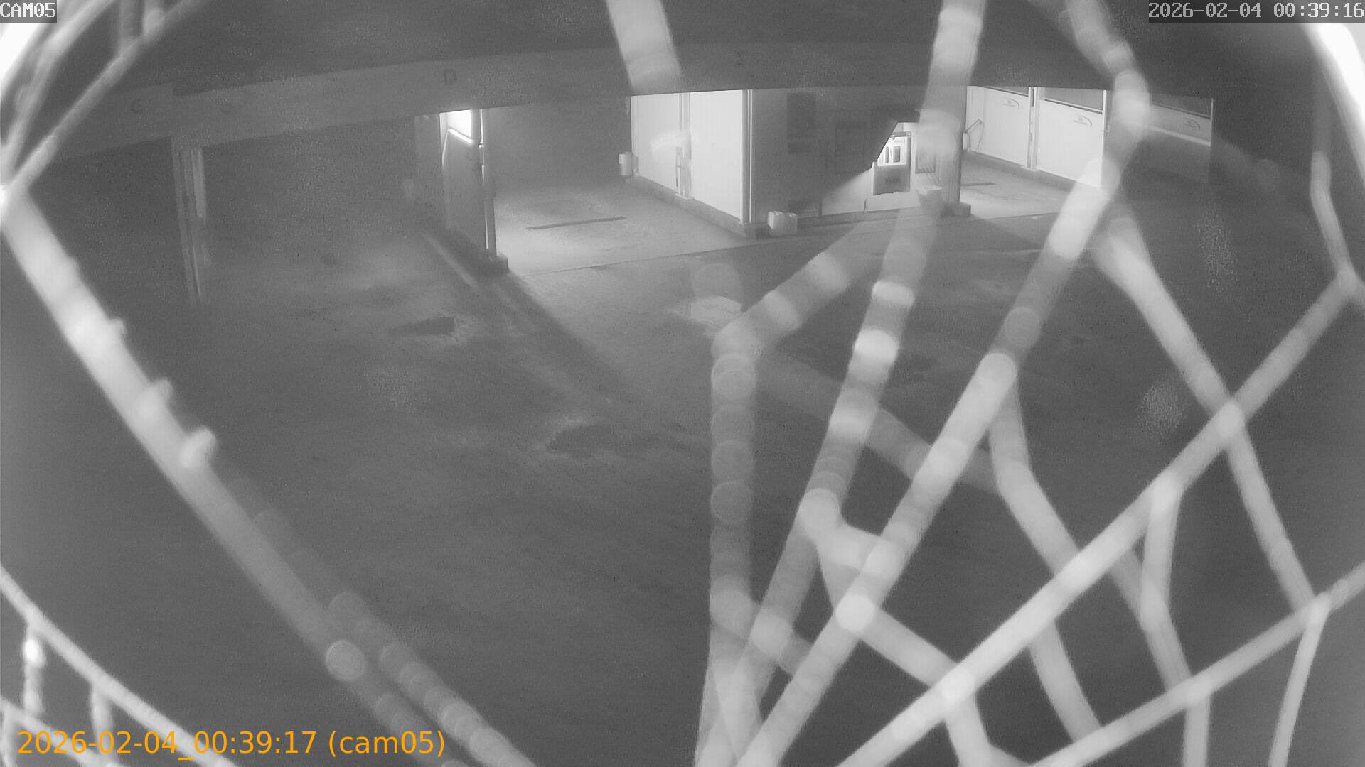 thumbnail_20260204003917