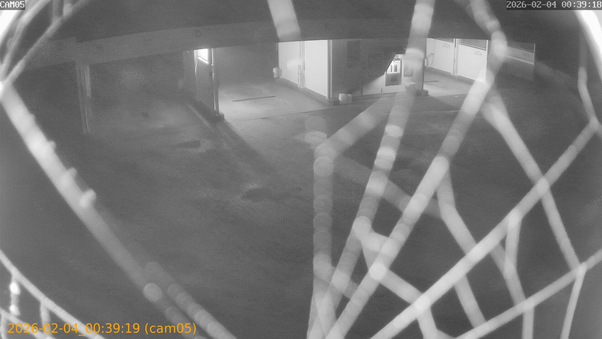 thumbnail_20260204003919