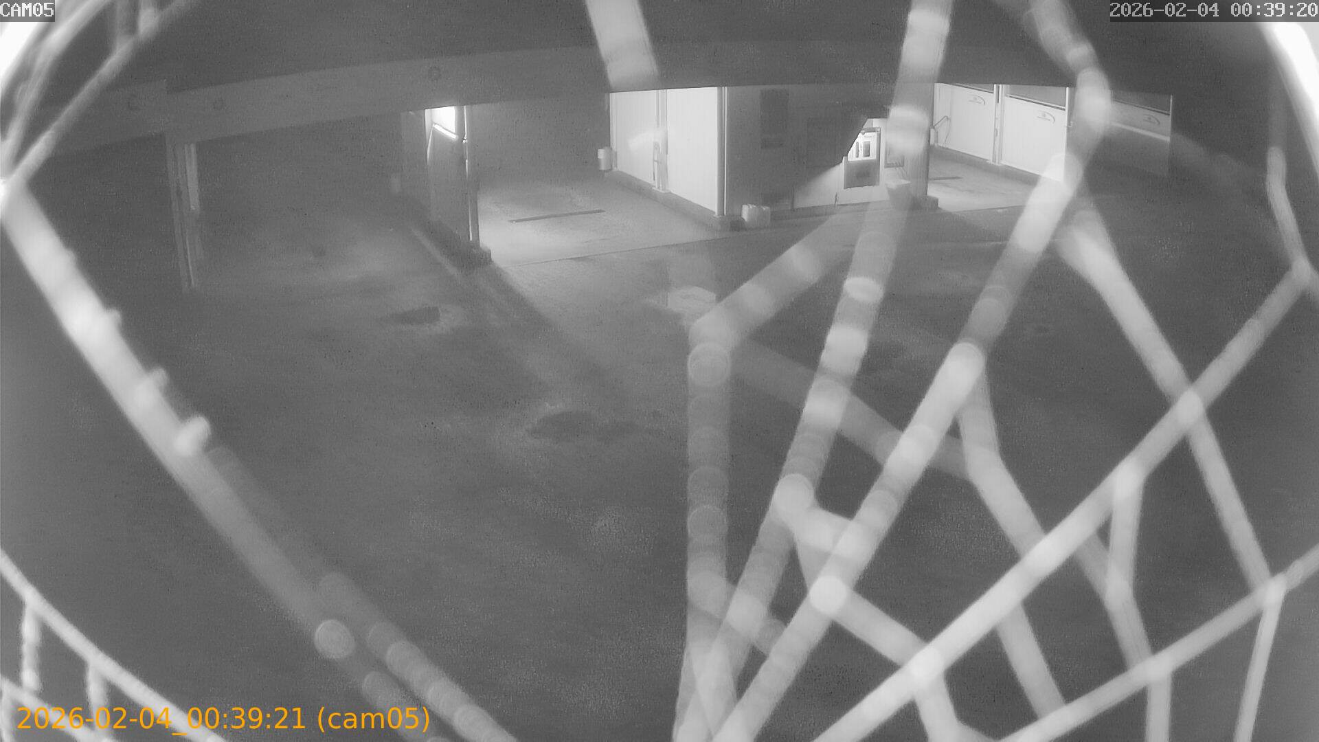 thumbnail_20260204003921