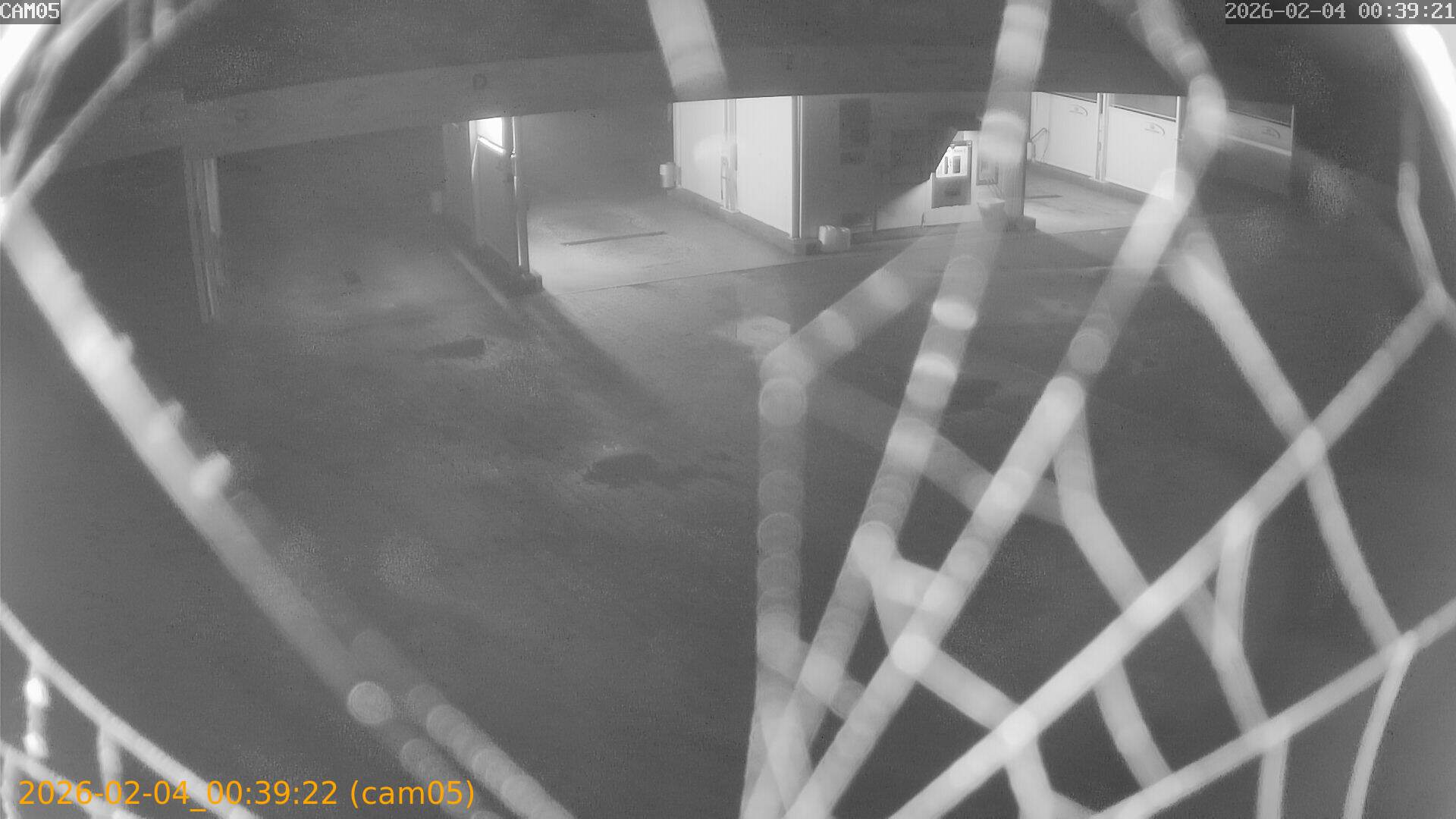 thumbnail_20260204003922