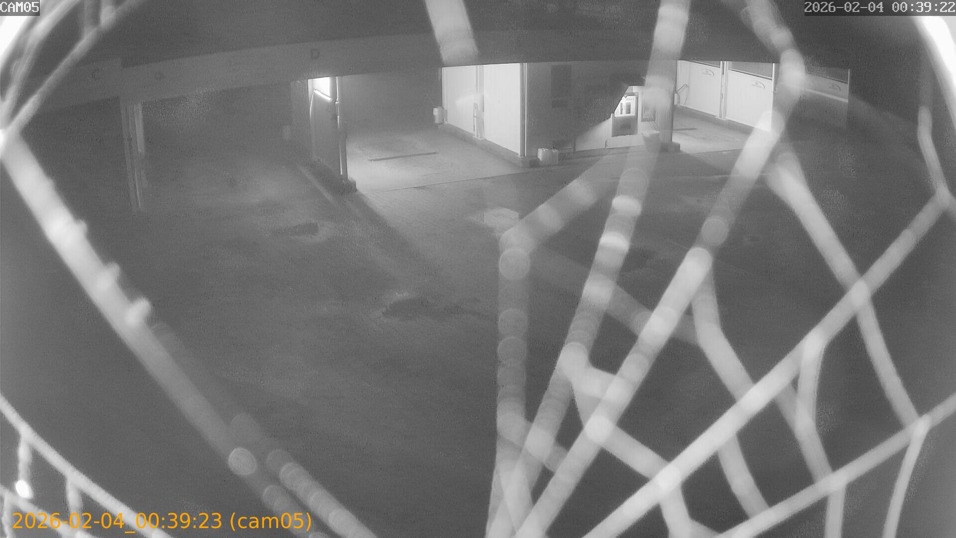 thumbnail_20260204003923