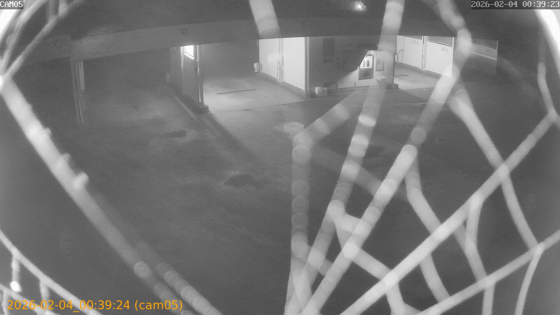 thumbnail_20260204003924