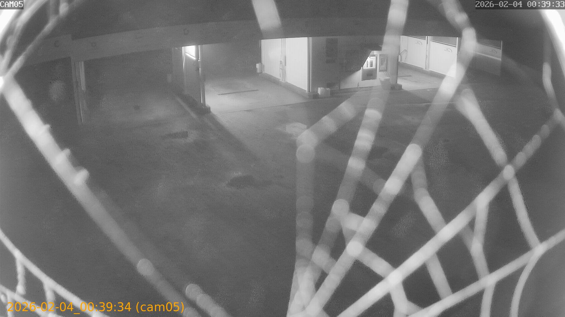 thumbnail_20260204003934