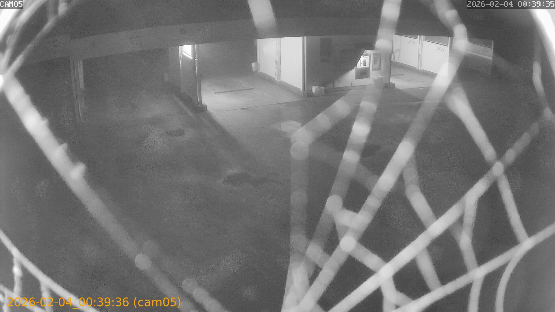 thumbnail_20260204003936