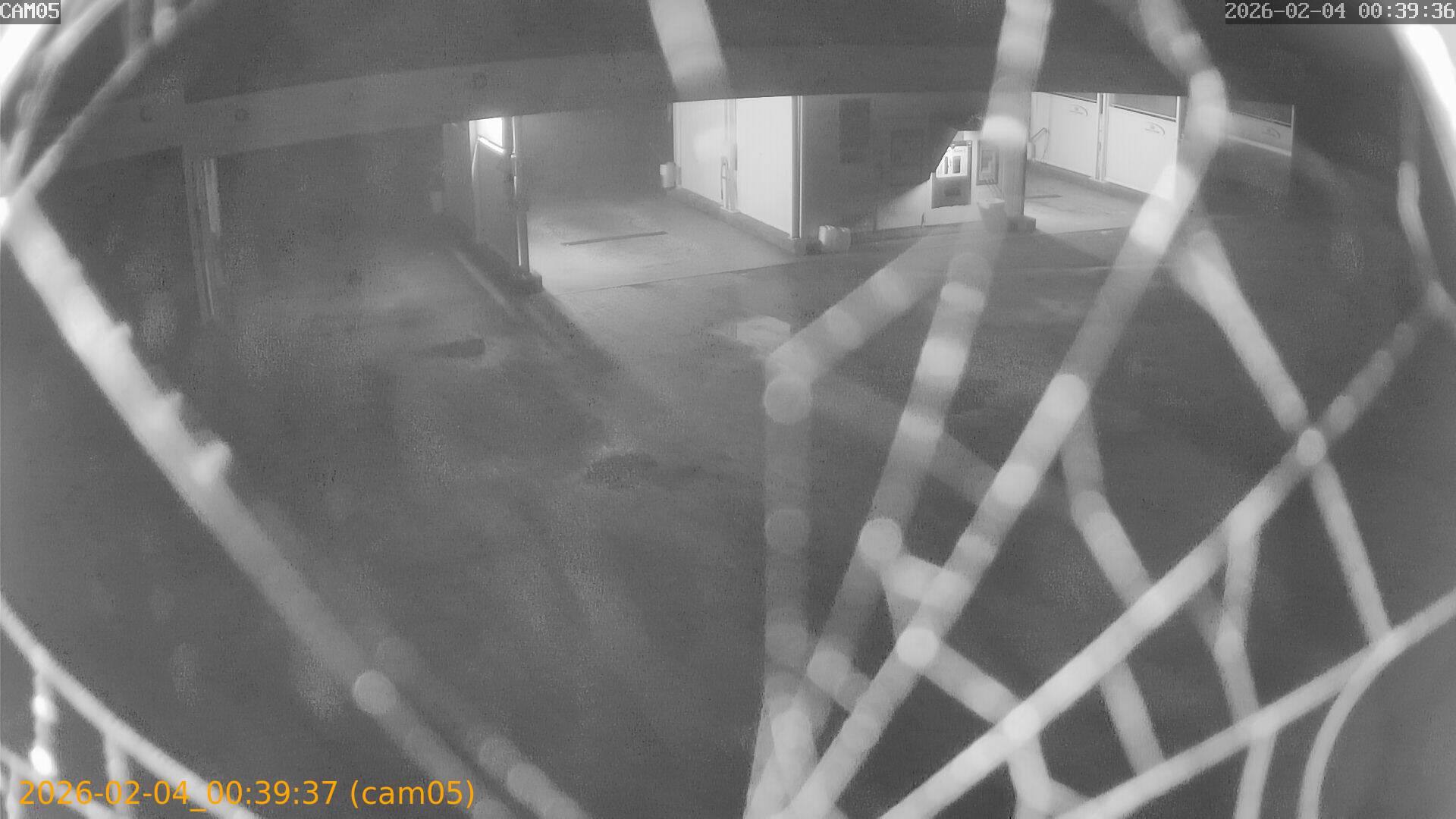 thumbnail_20260204003937