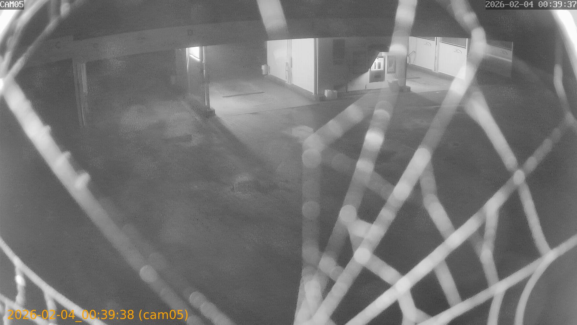 thumbnail_20260204003938