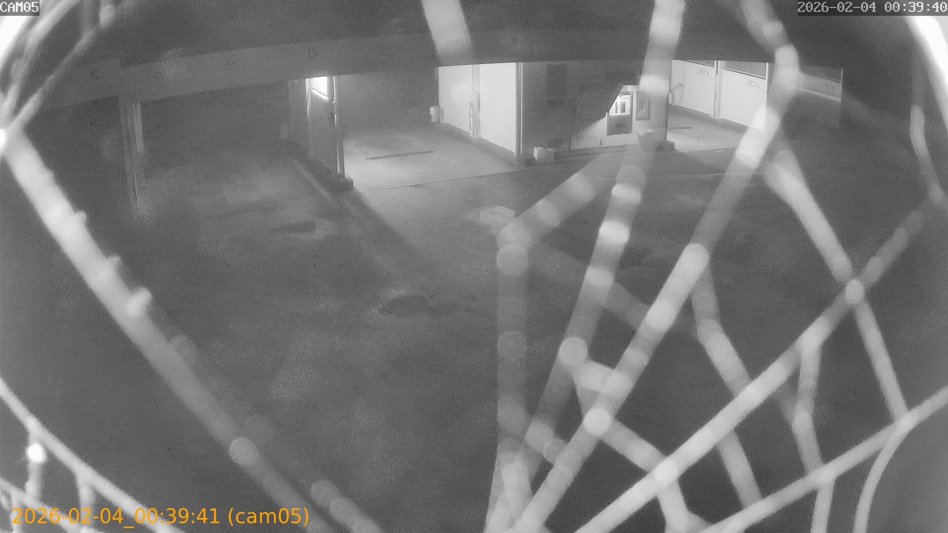 thumbnail_20260204003941