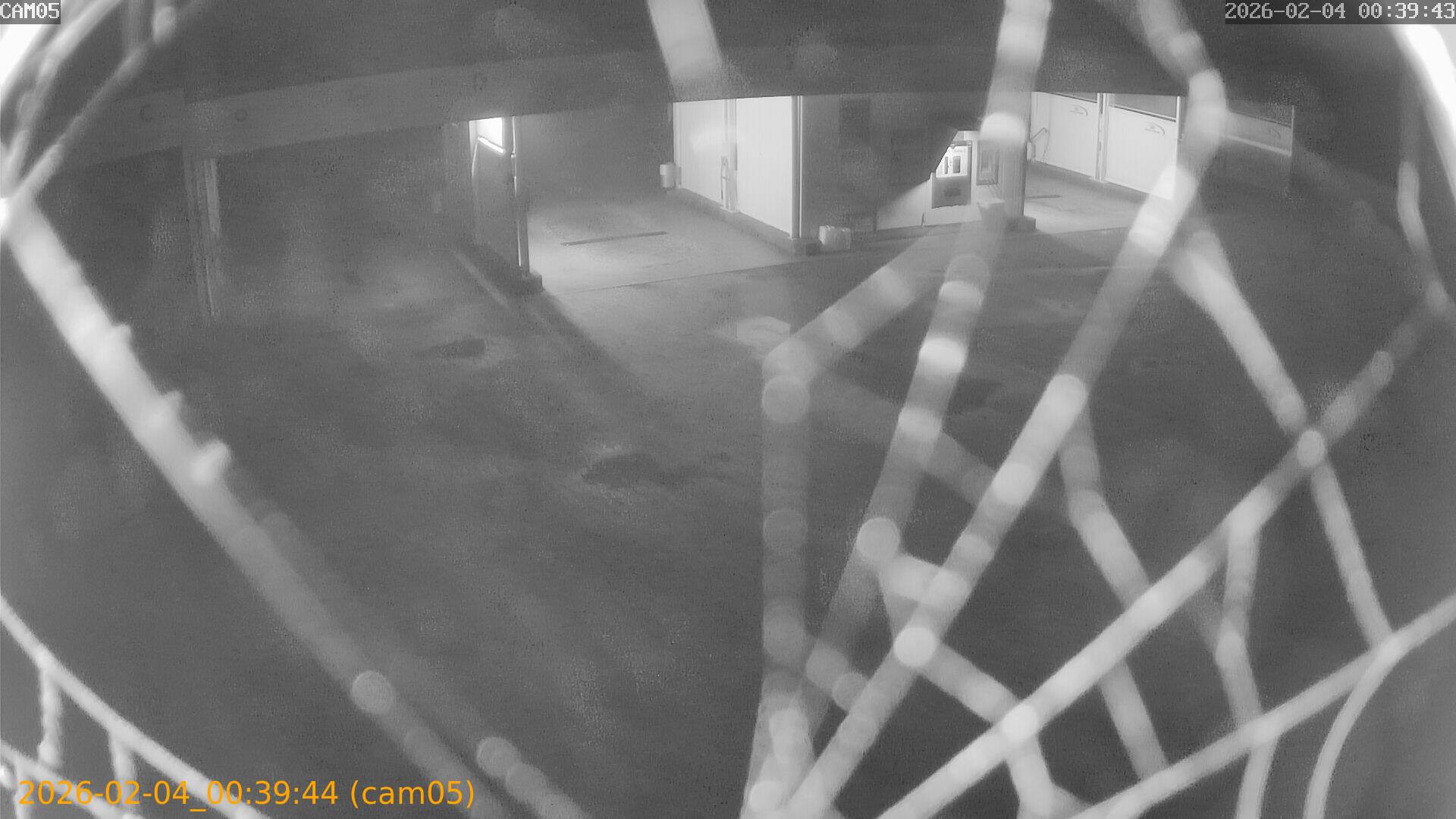 thumbnail_20260204003944