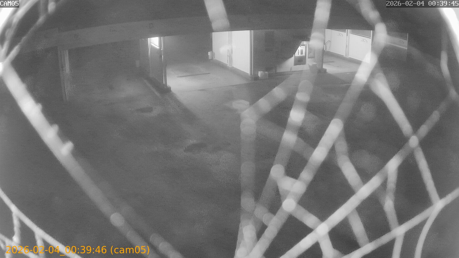 thumbnail_20260204003946