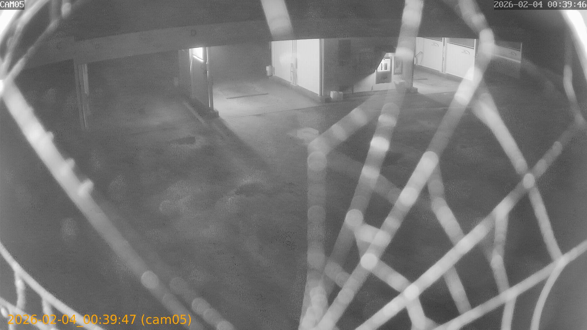 thumbnail_20260204003947