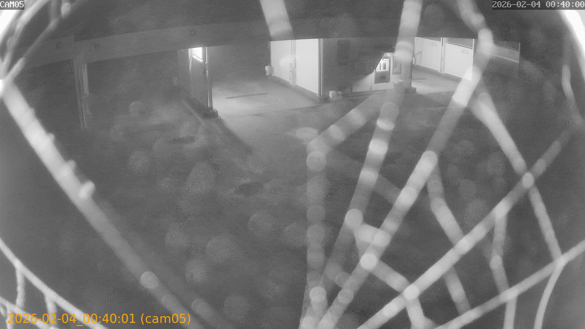 thumbnail_20260204004001