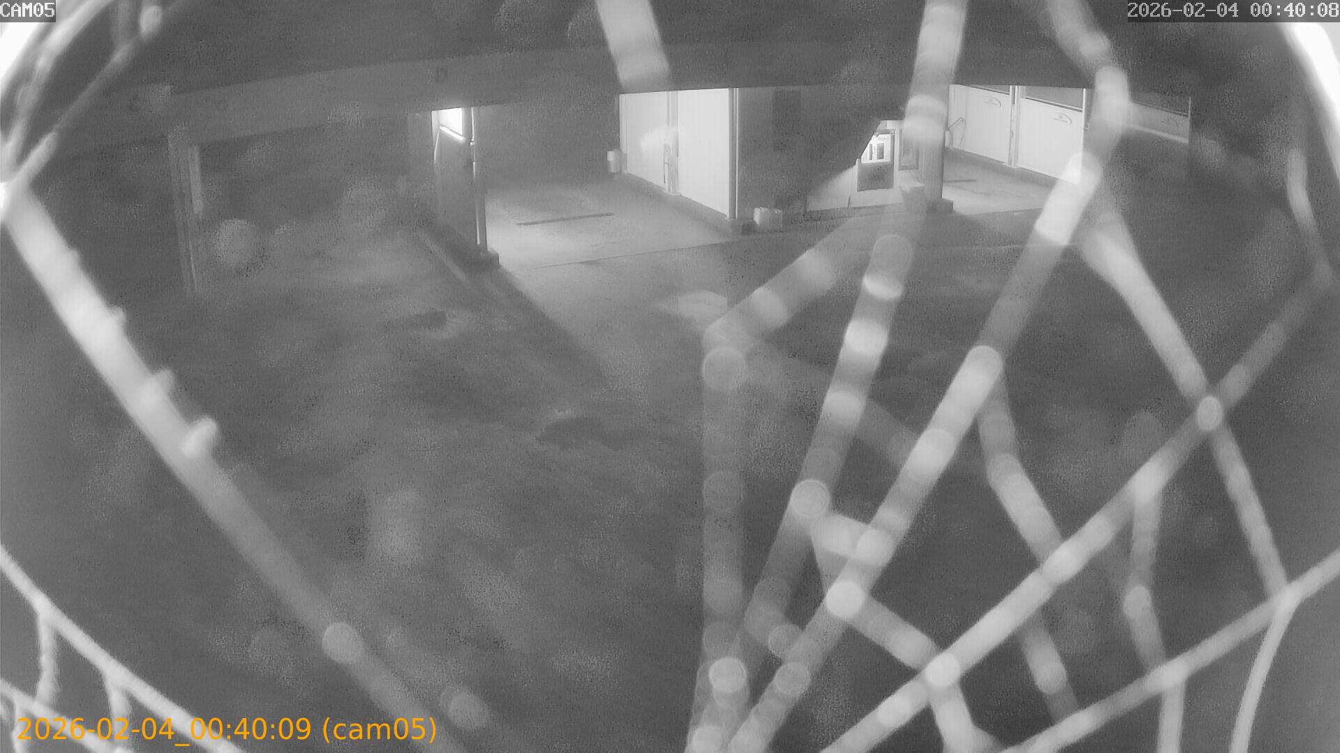 thumbnail_20260204004009