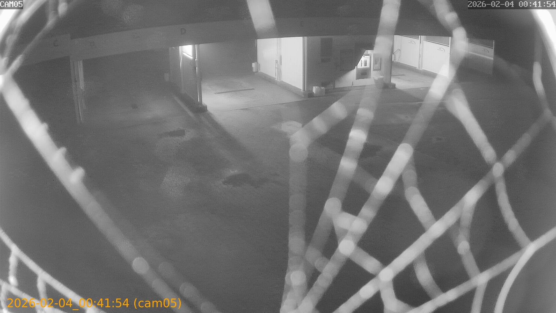 thumbnail_20260204004154