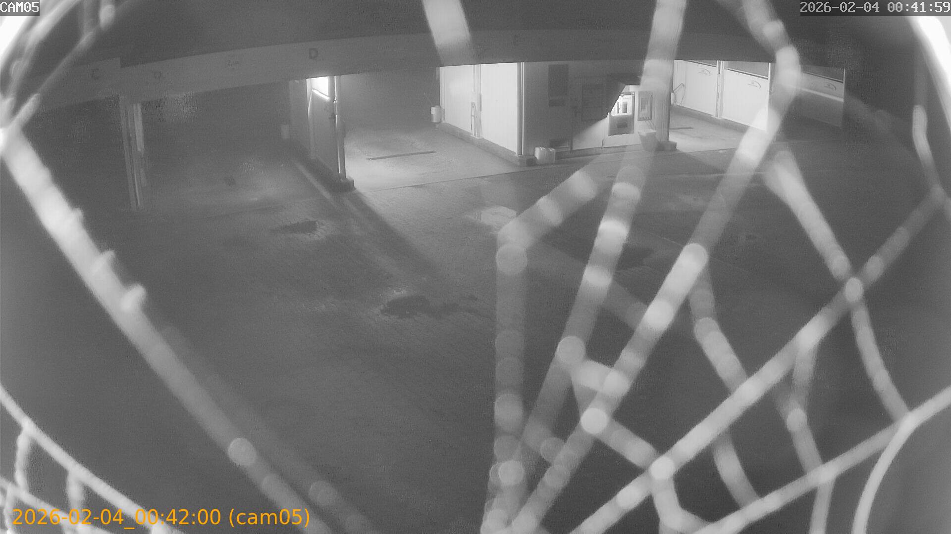 thumbnail_20260204004200