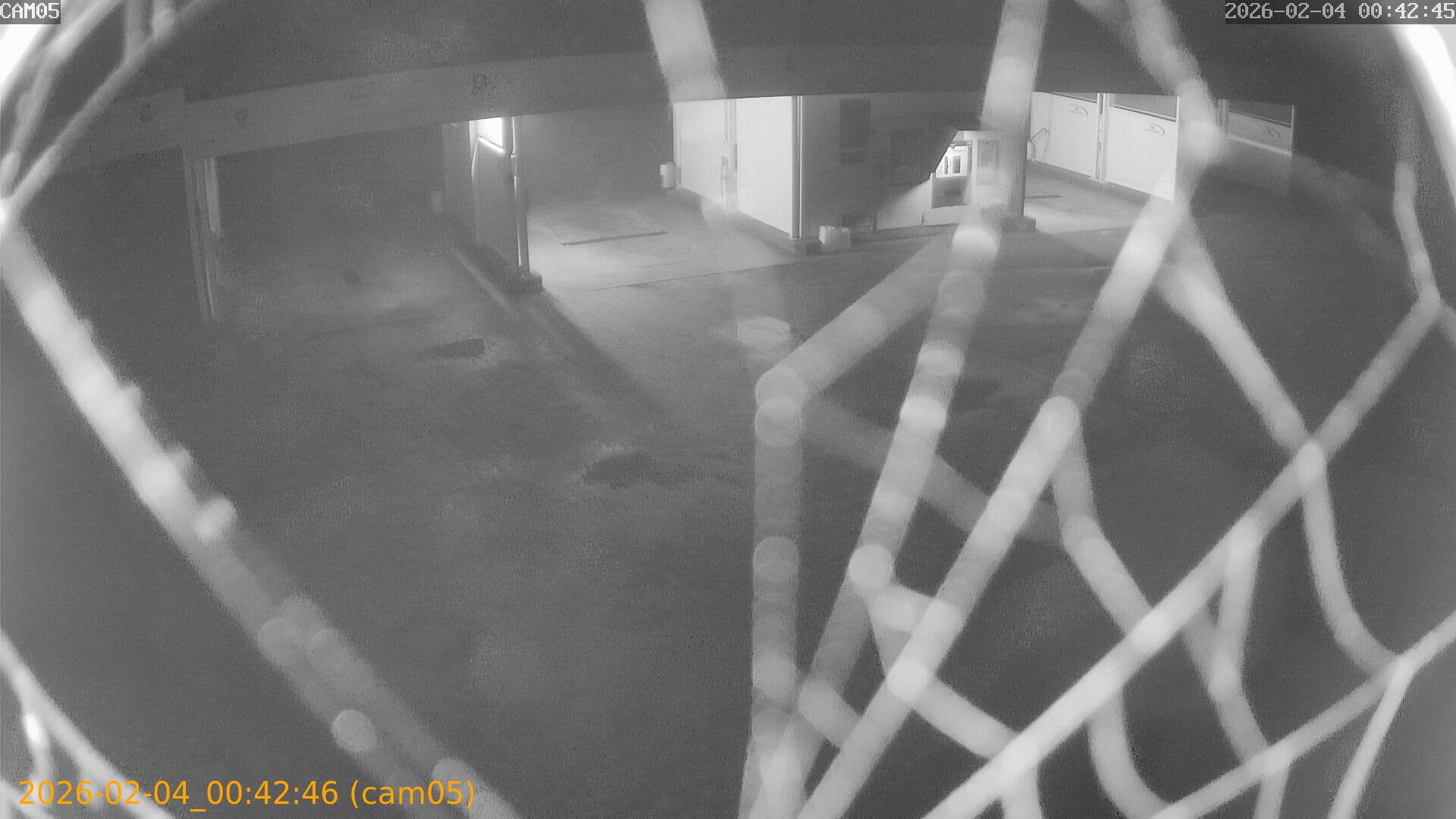 thumbnail_20260204004246