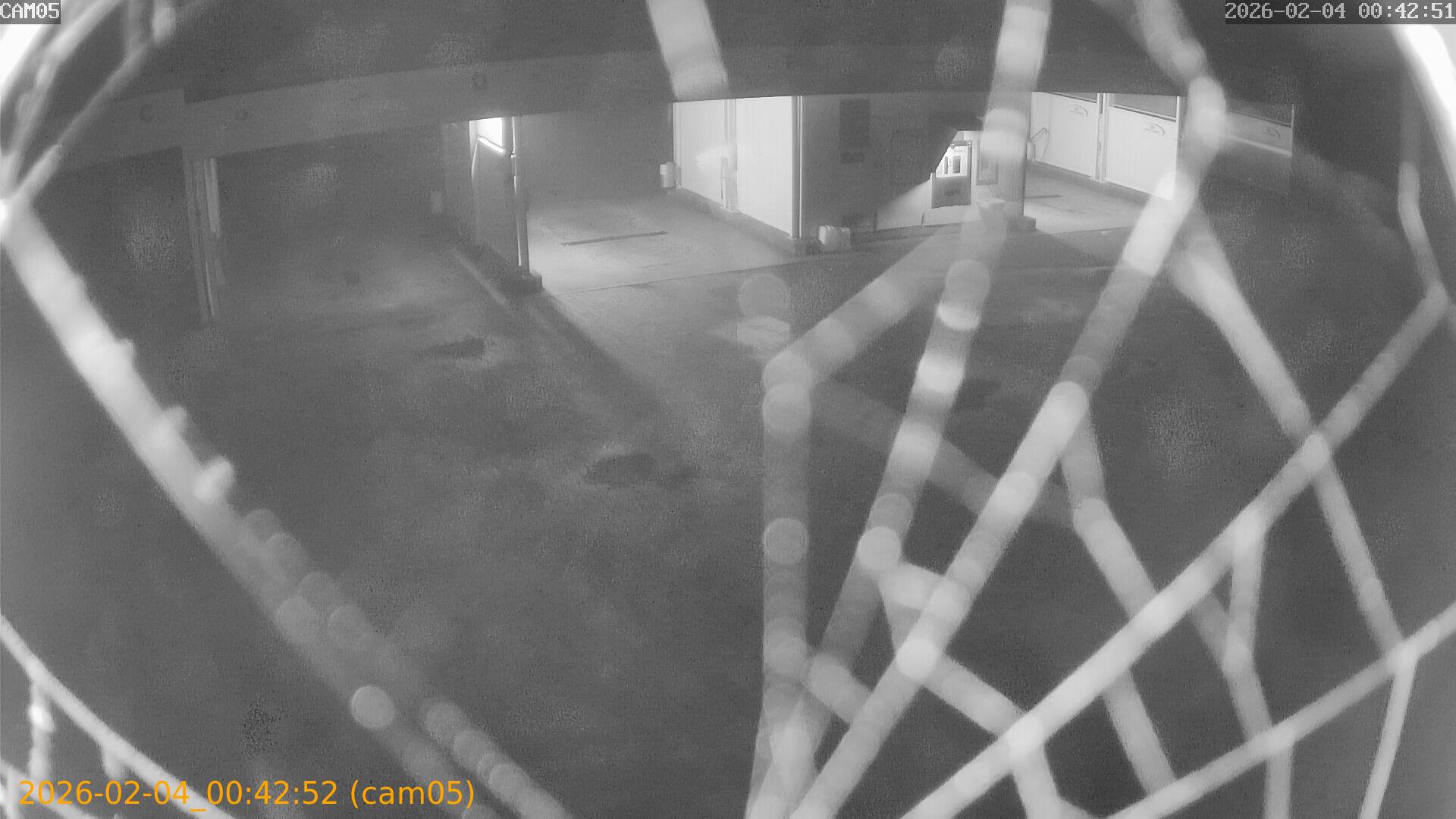 thumbnail_20260204004252