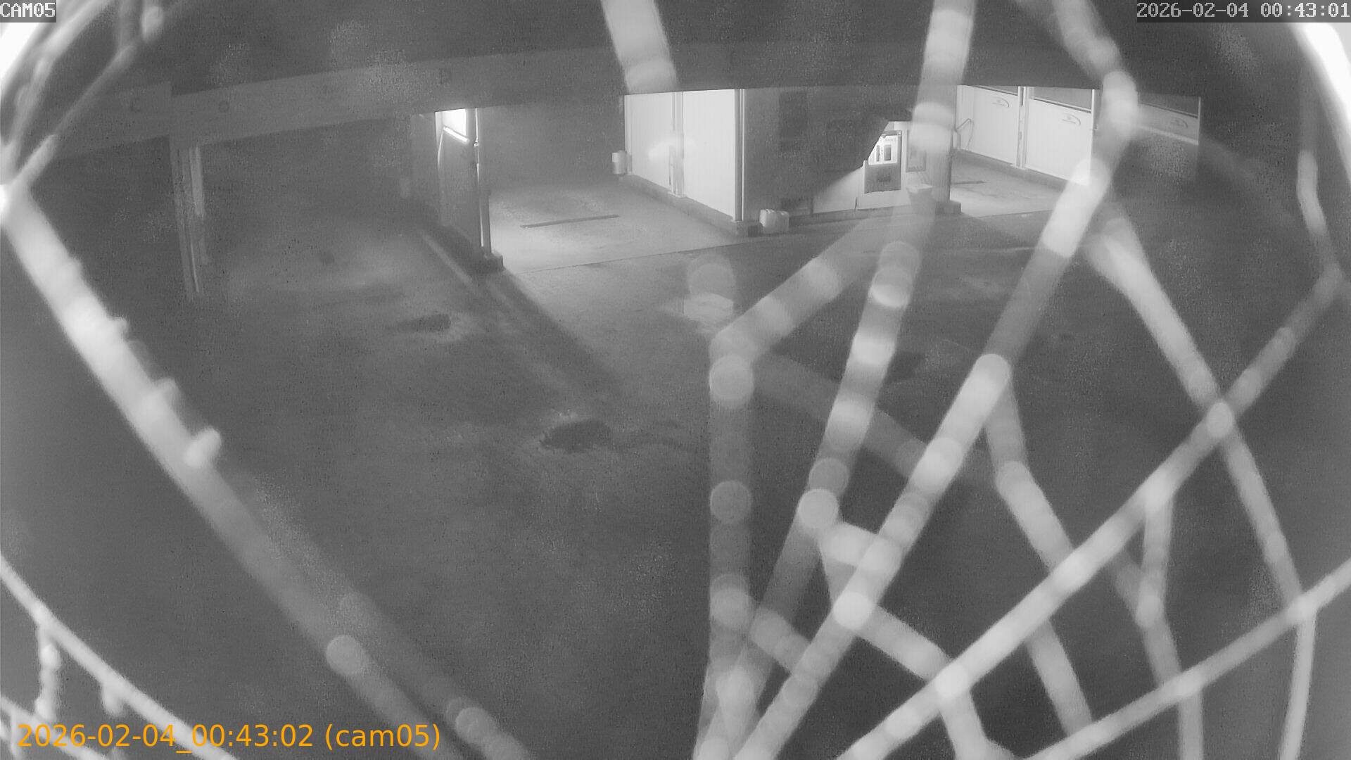 thumbnail_20260204004302