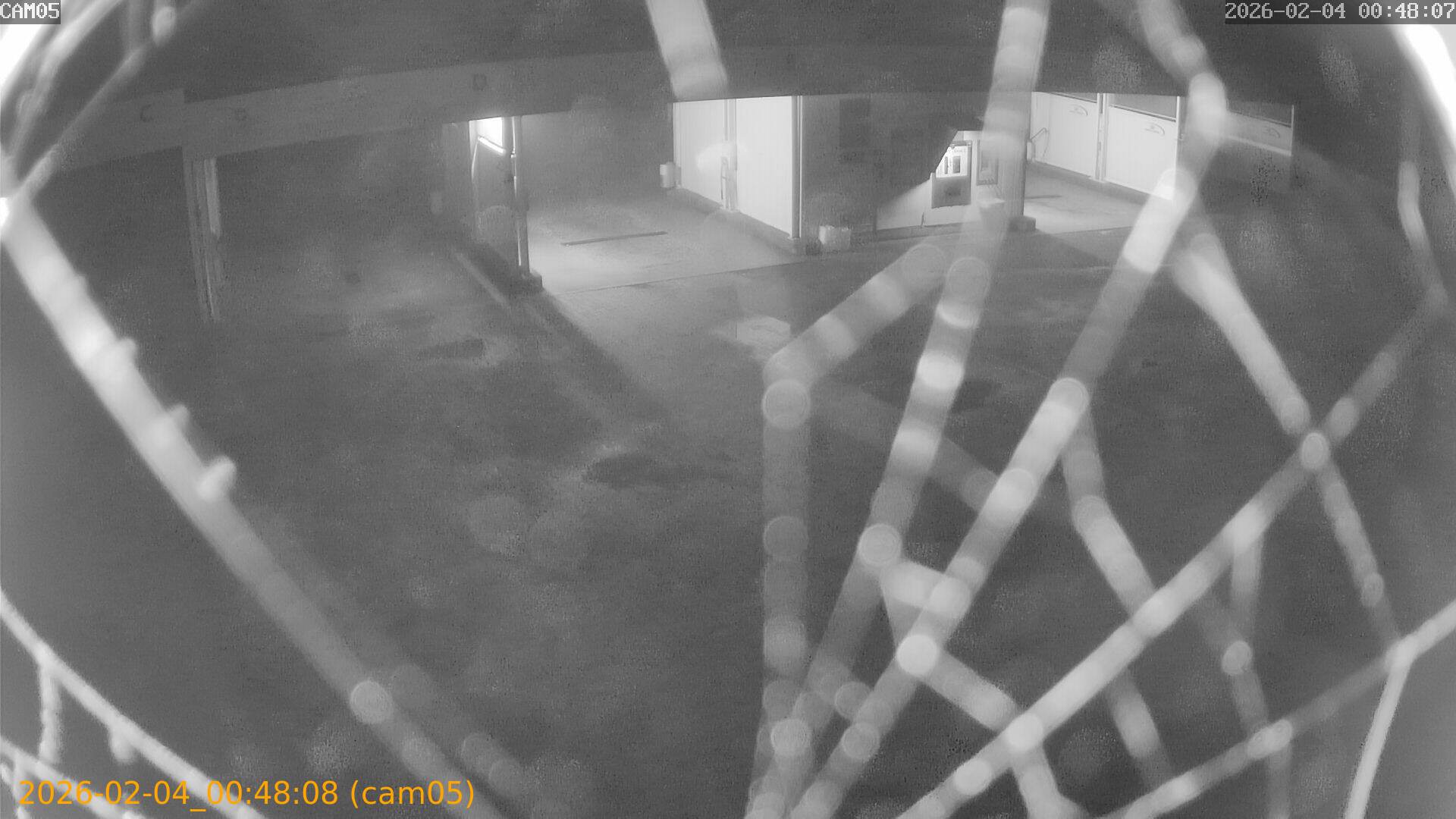 thumbnail_20260204004808