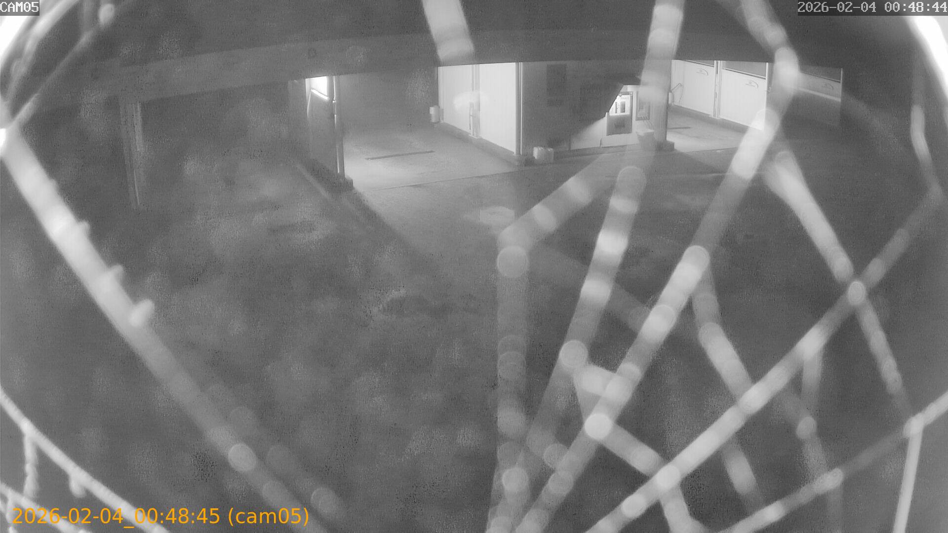 thumbnail_20260204004845