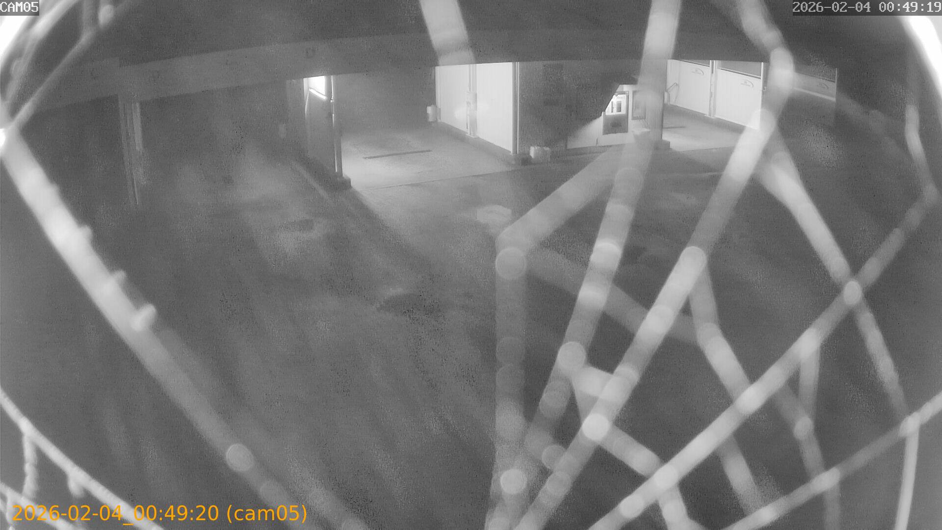 thumbnail_20260204004920