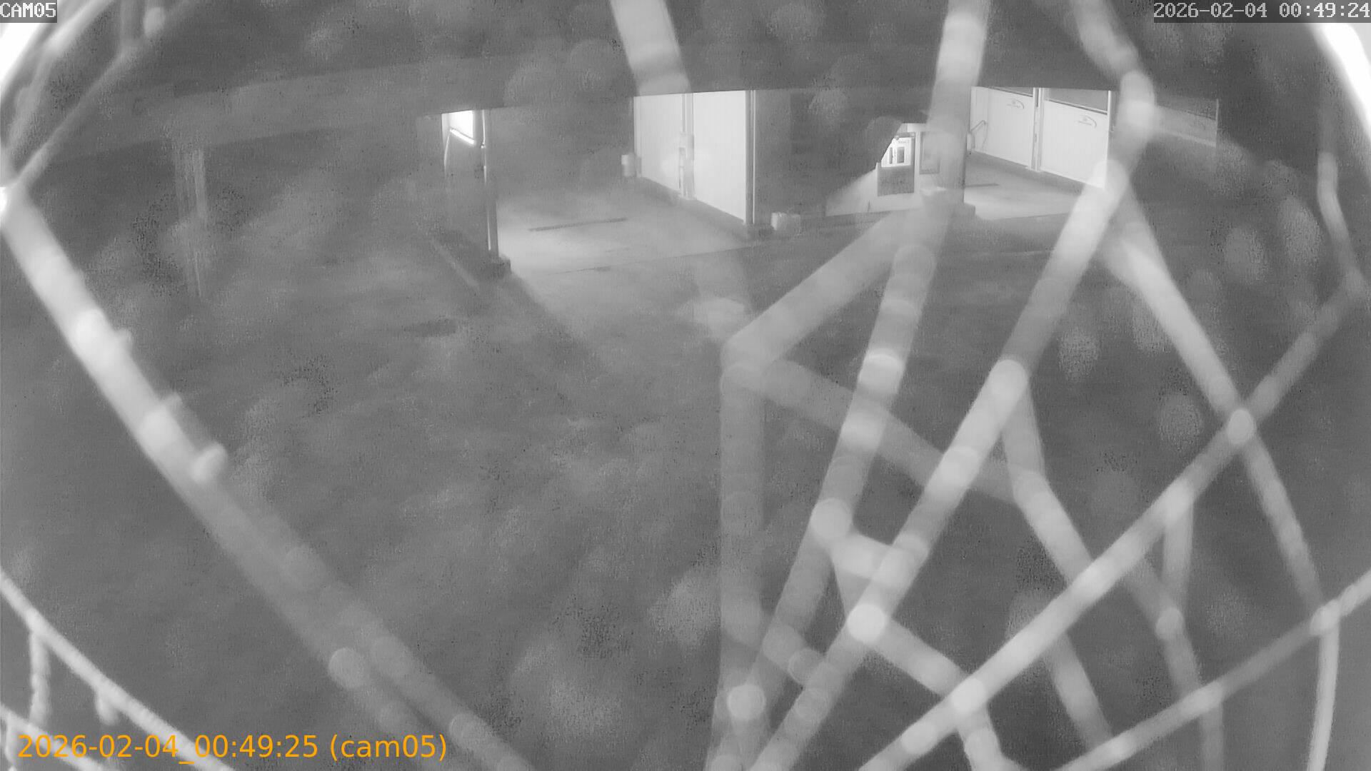 thumbnail_20260204004925