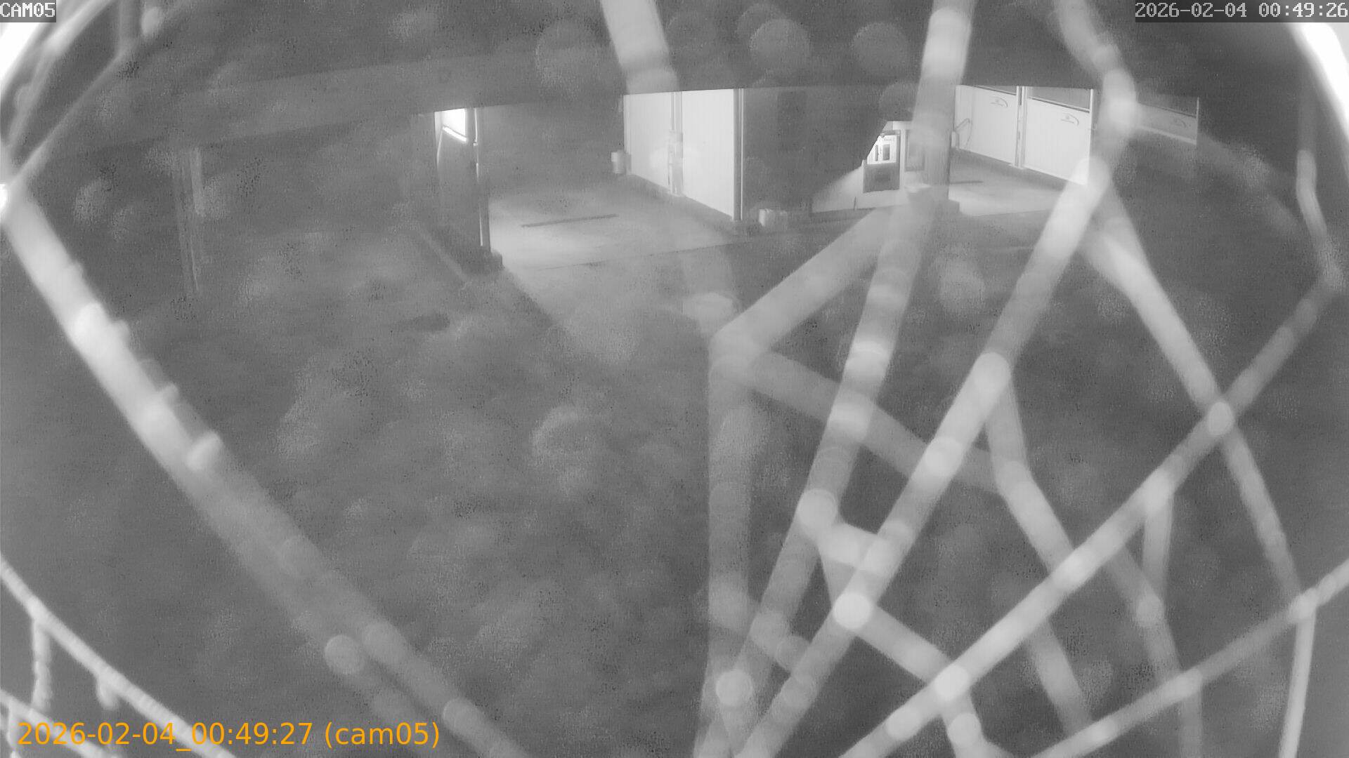 thumbnail_20260204004927