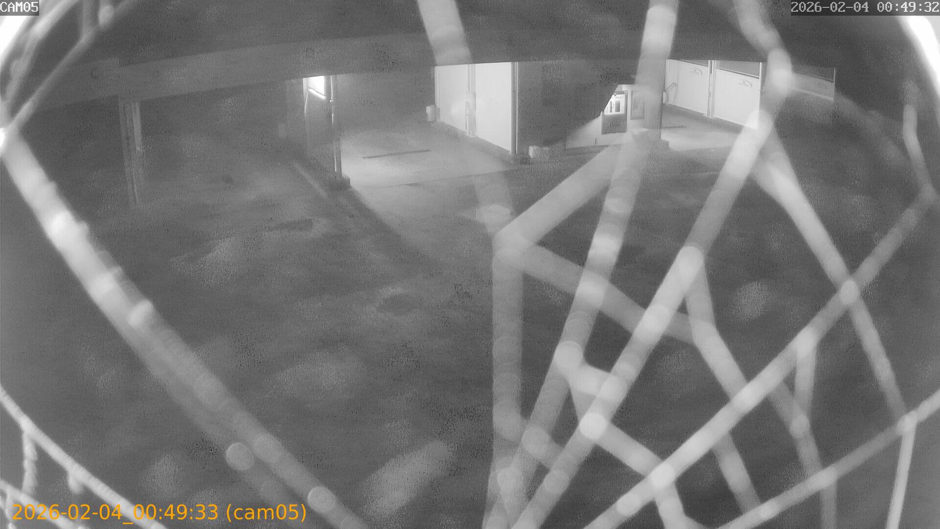 thumbnail_20260204004933