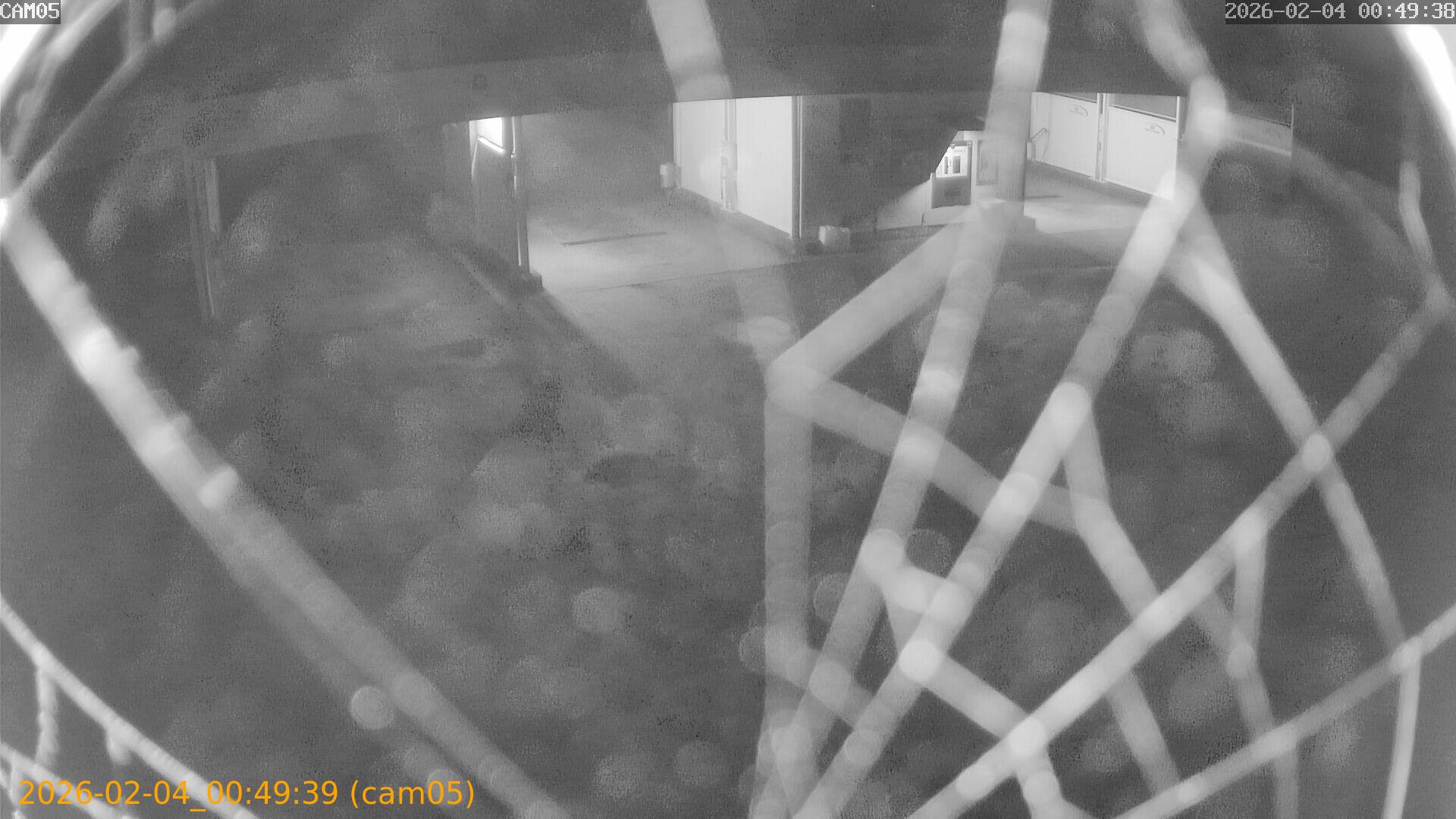 thumbnail_20260204004939