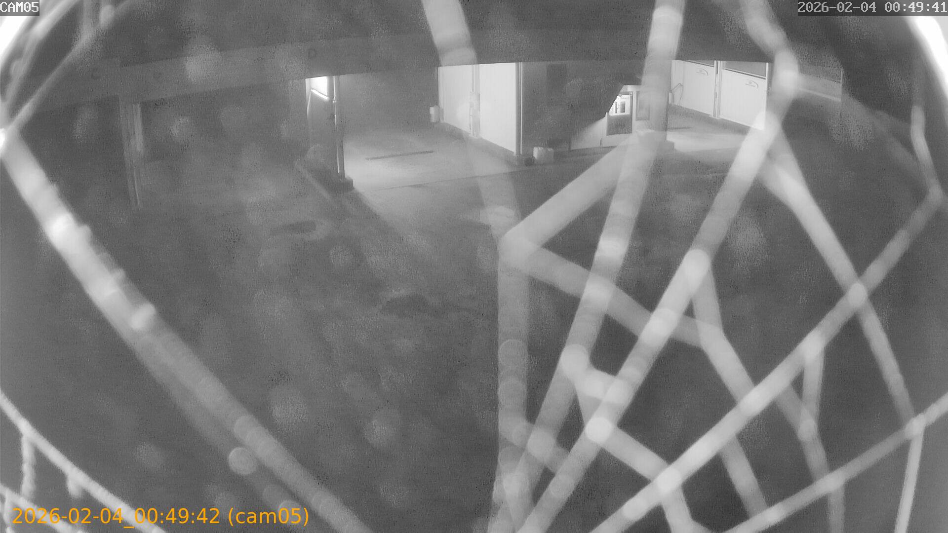 thumbnail_20260204004942