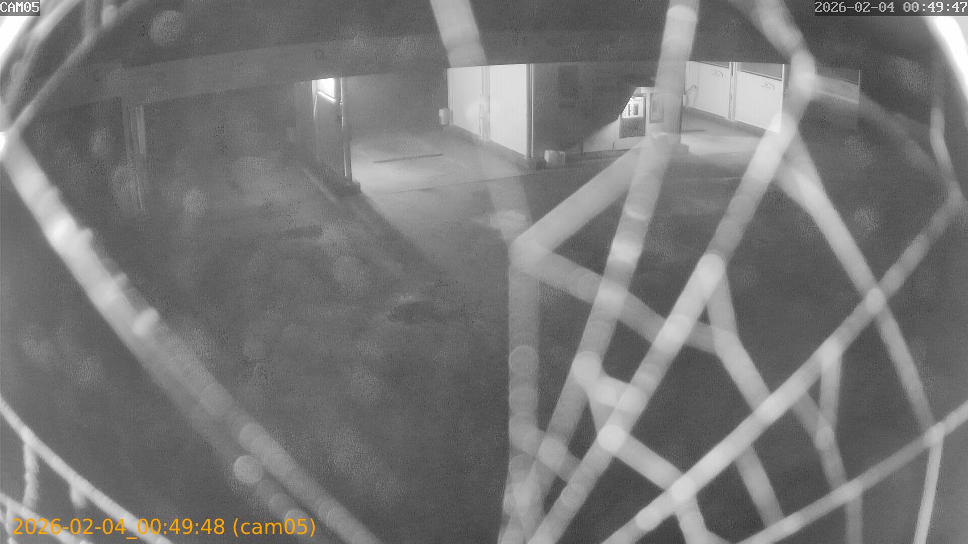 thumbnail_20260204004948