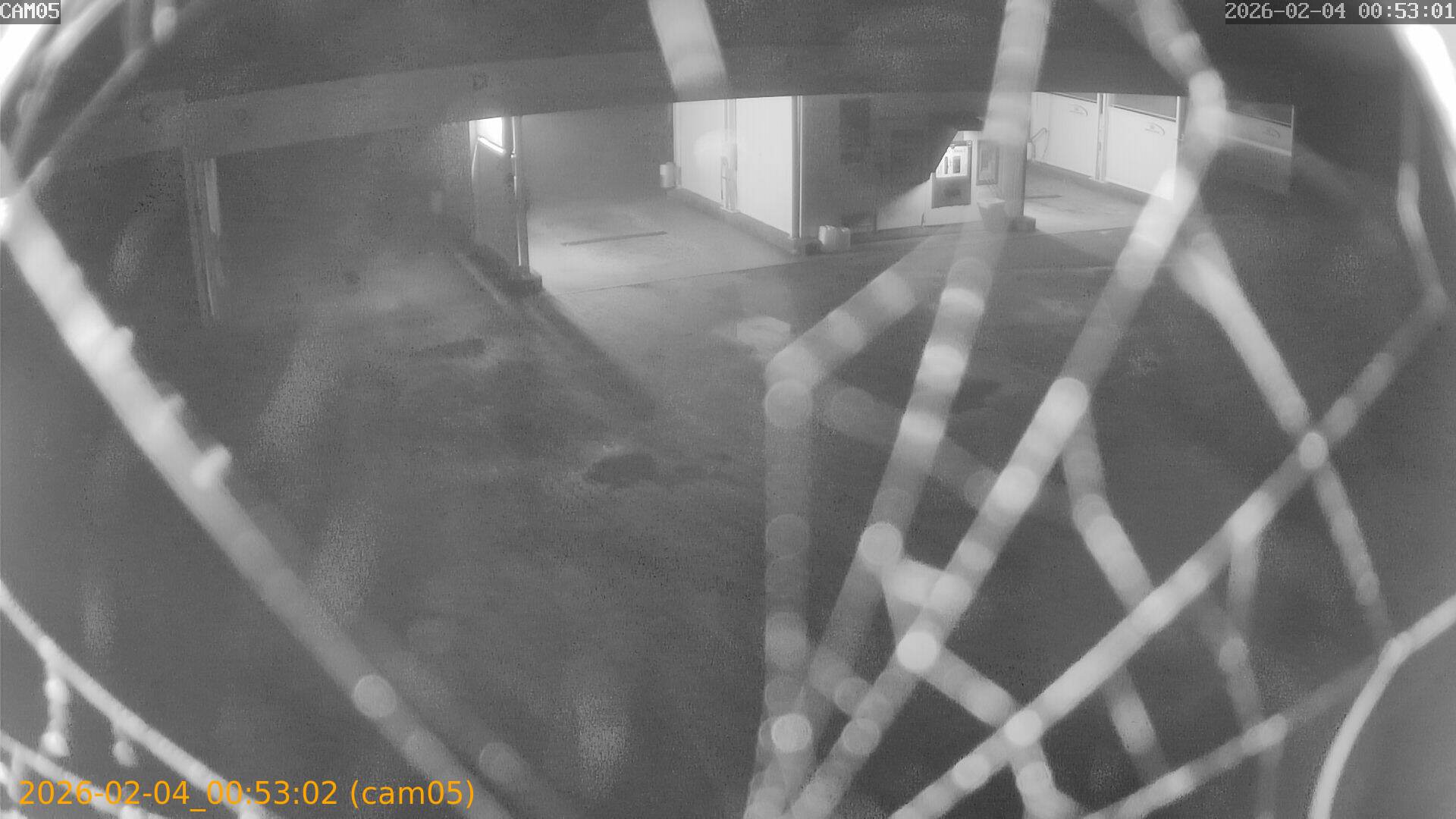 thumbnail_20260204005302