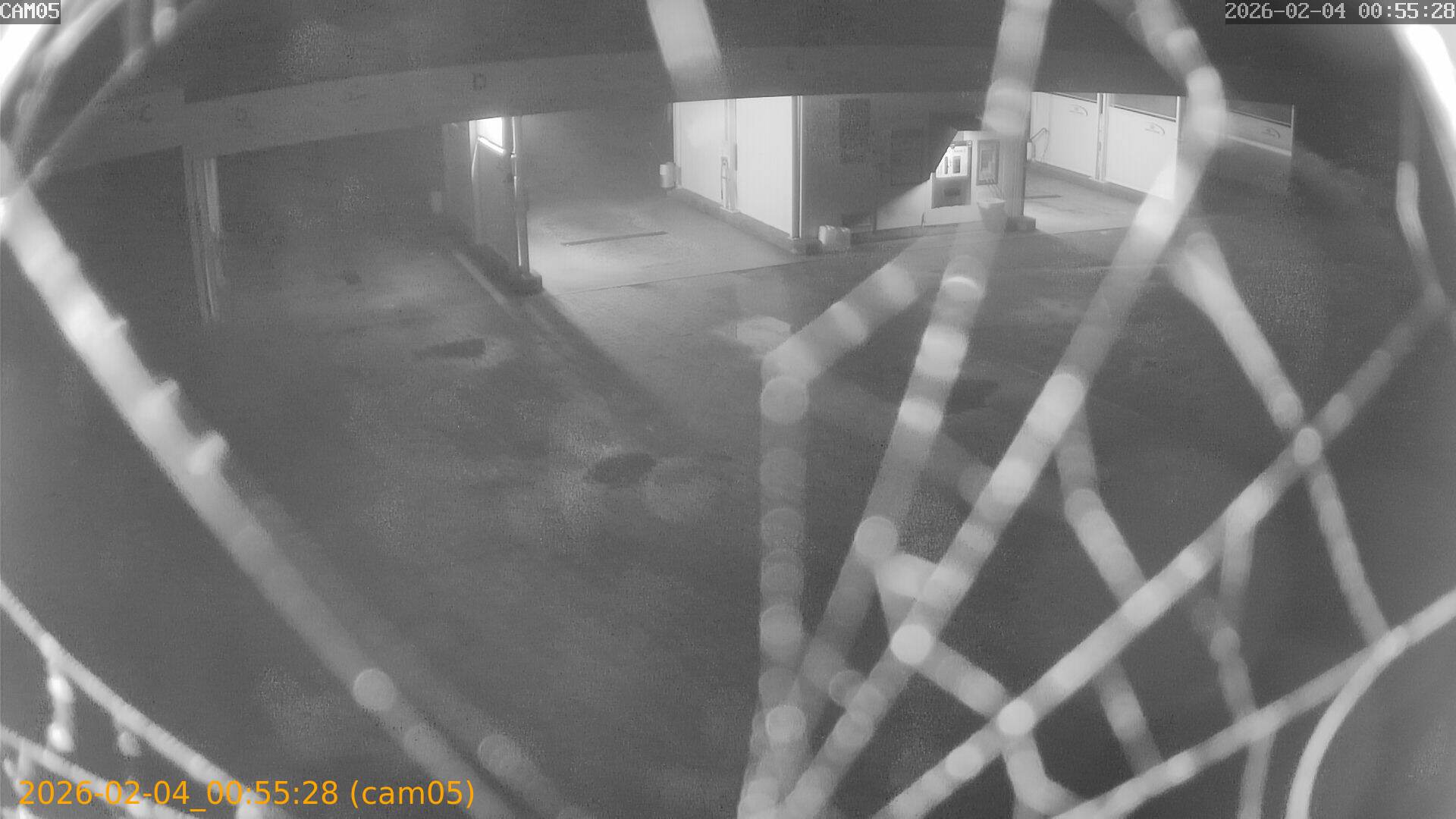 thumbnail_20260204005528