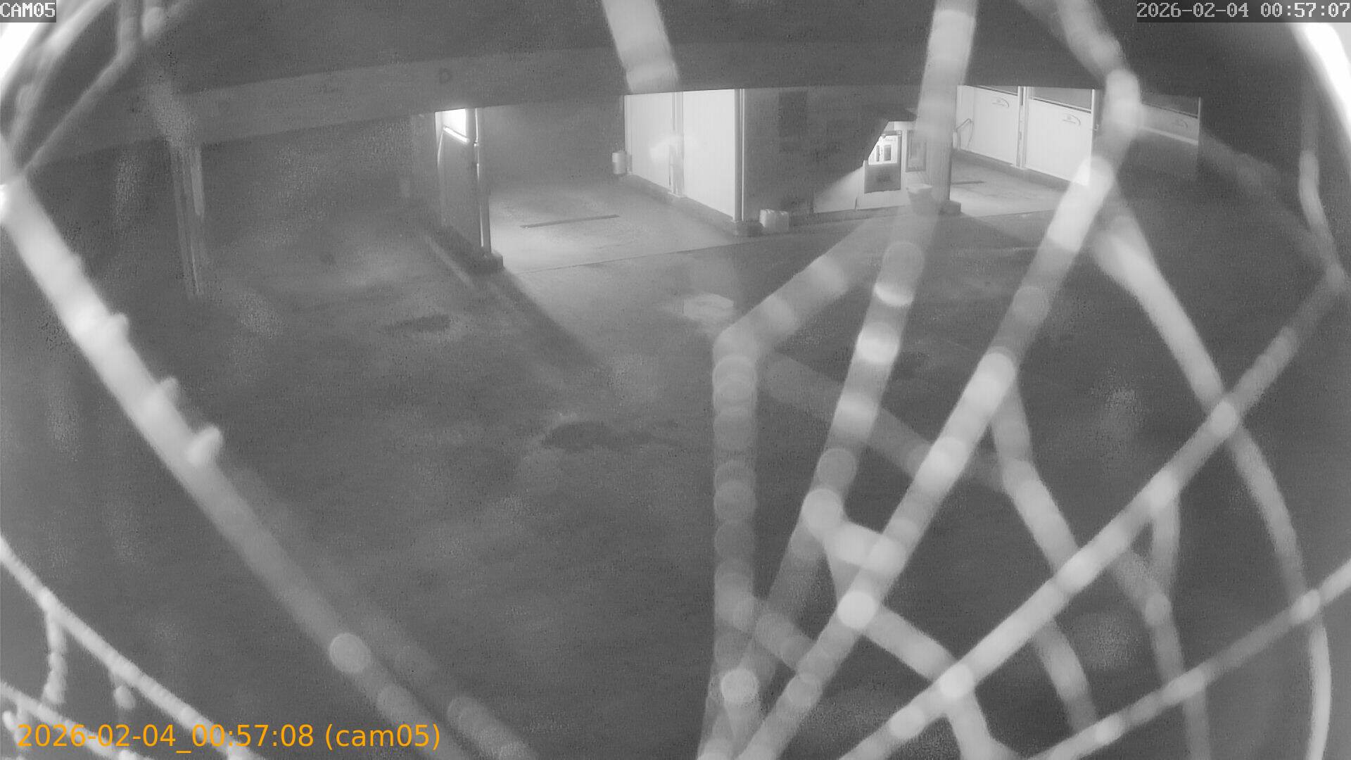 thumbnail_20260204005708