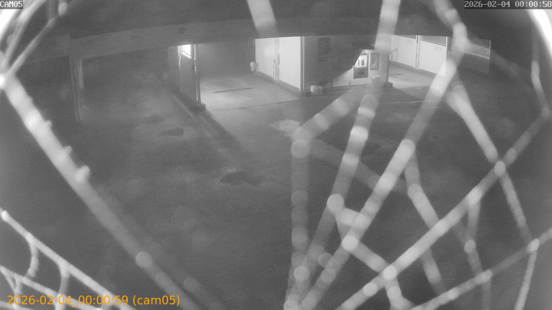 thumbnail_202602040000