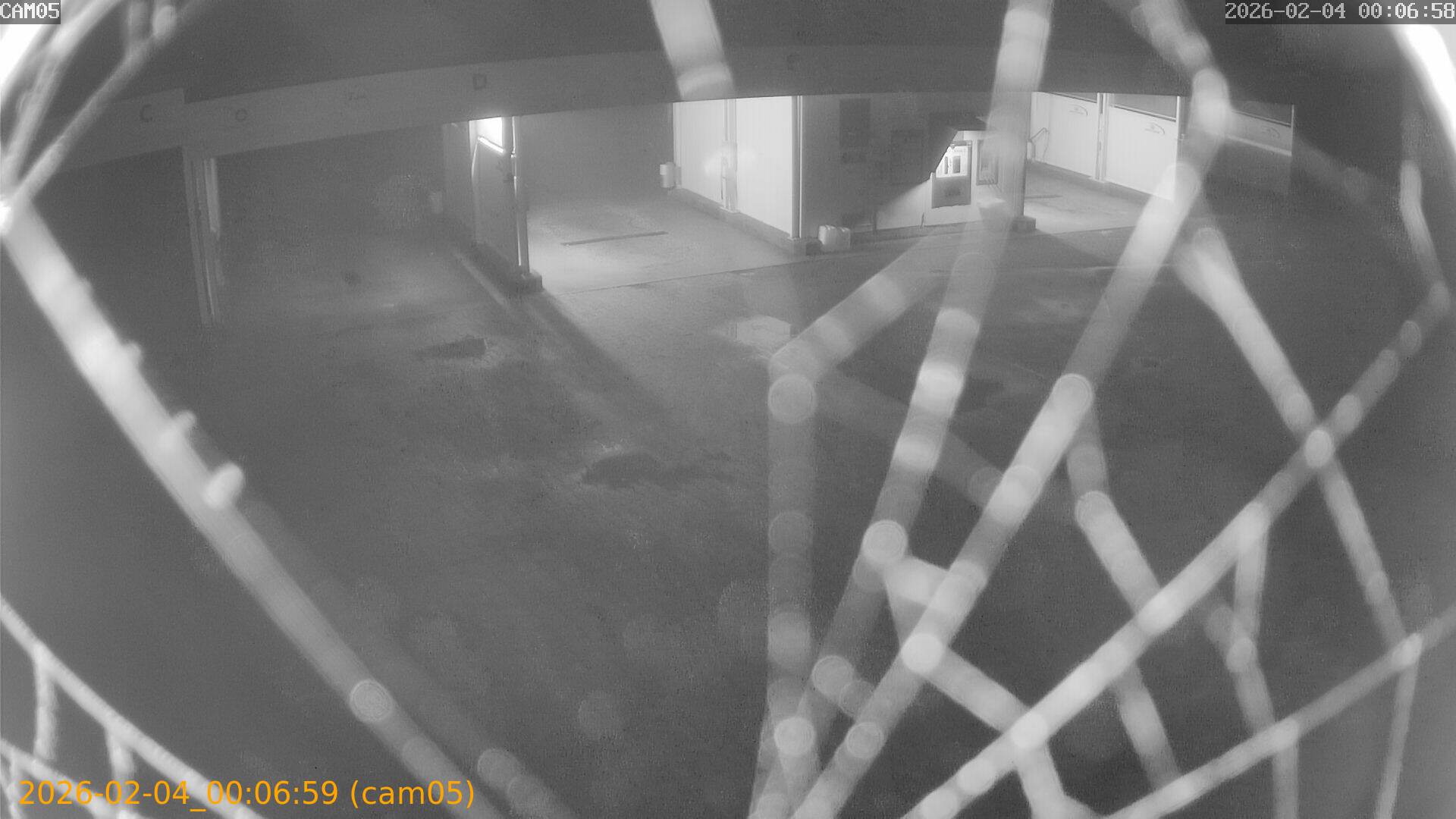 thumbnail_202602040006