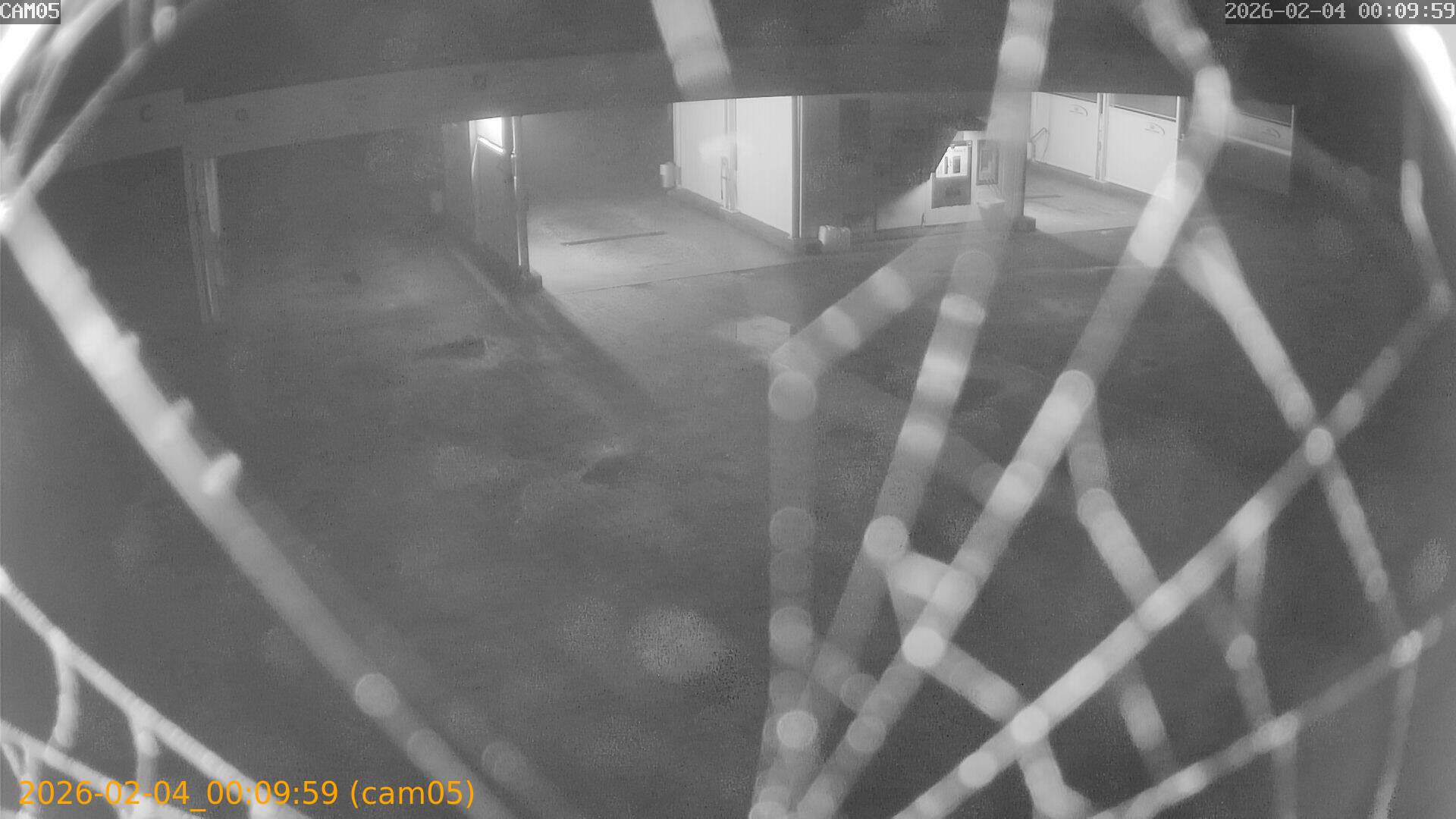 thumbnail_202602040009