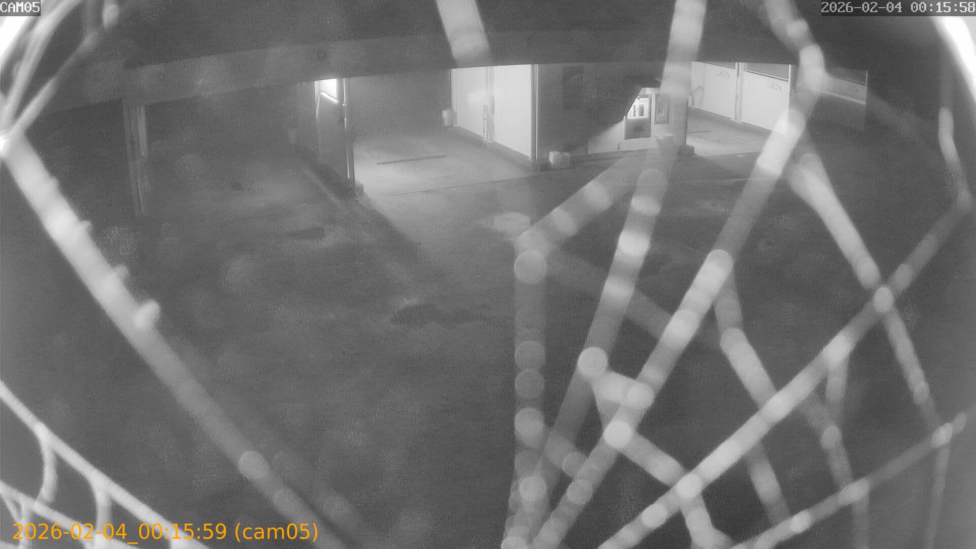 thumbnail_202602040015